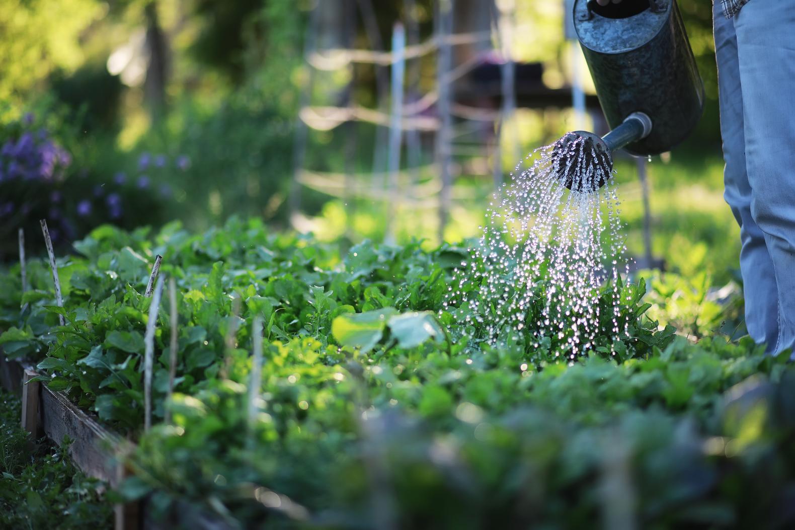 Pricing for Gardening & Home Maintenance